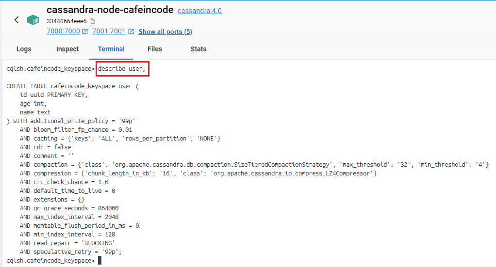 describe table in cassandra spring project